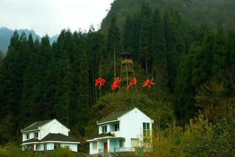 ɶչӖ(xn)